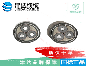 YJLV22 铝芯钢带铠装 ...