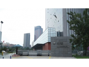 东北电网有限公司